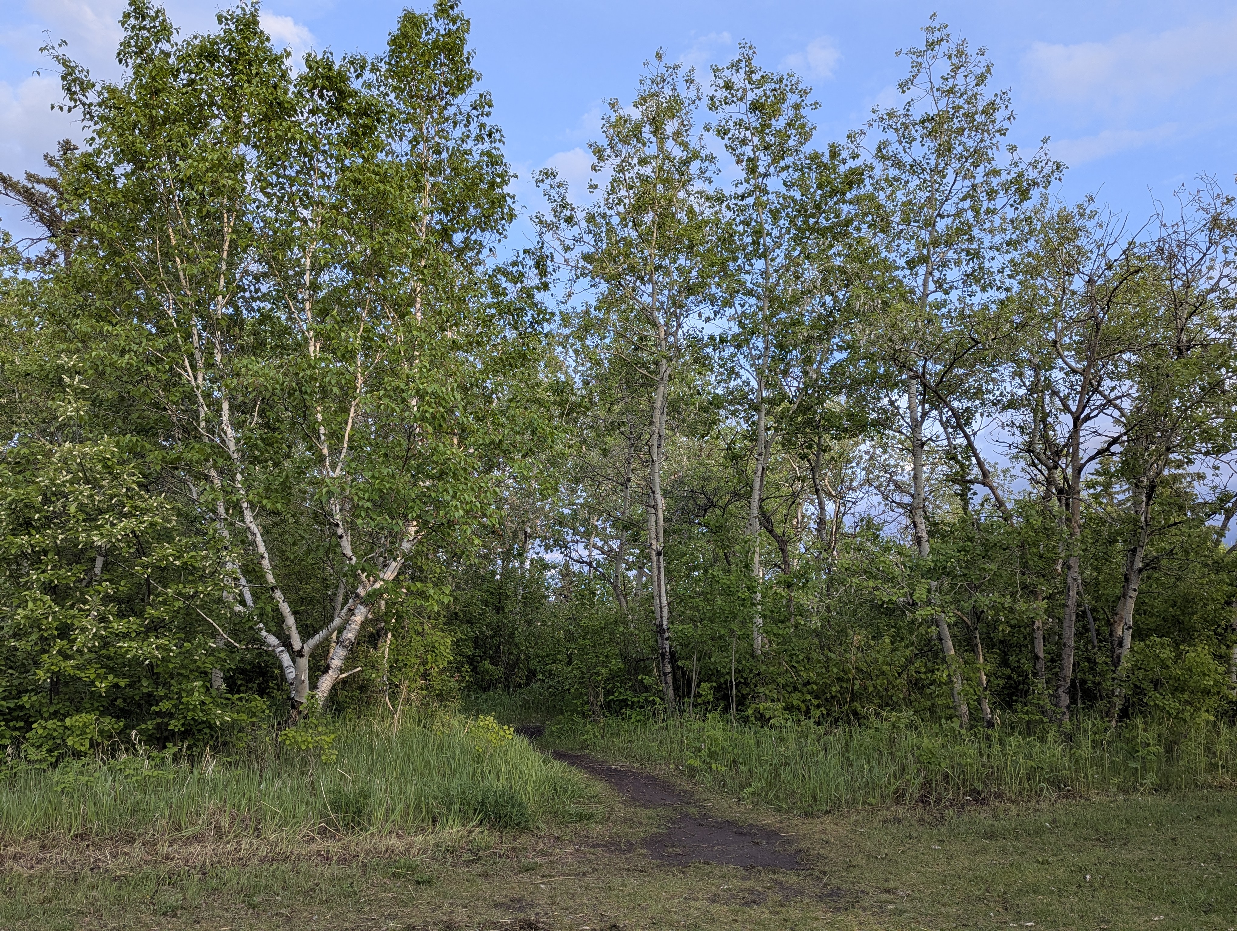 Birthday Trip to Canada, Edmonton